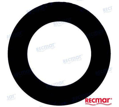 OIL SEAL