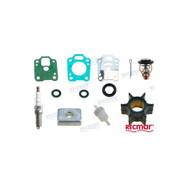 mercury maintenance kit €31.47