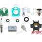mercury maintenance kit