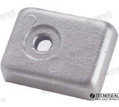 PLATE BRP 40 40/50 HP 4T