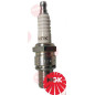 spark-plug ngk bue