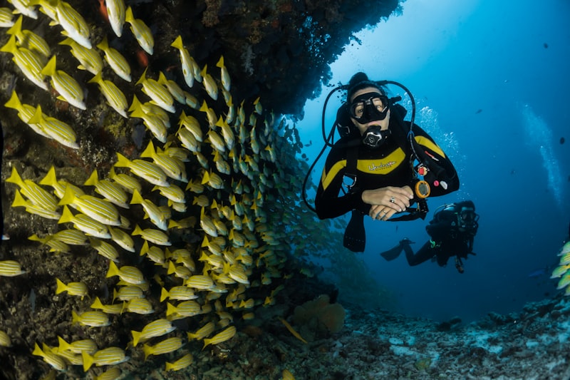 Diving & Snorkeling