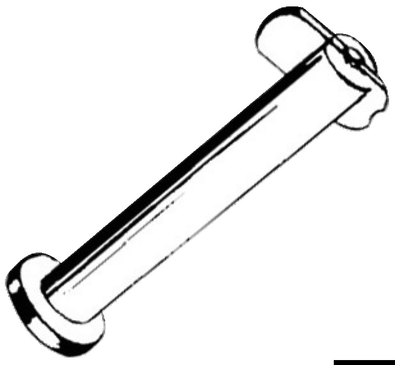 SS drop nose pin 6 x 15mm