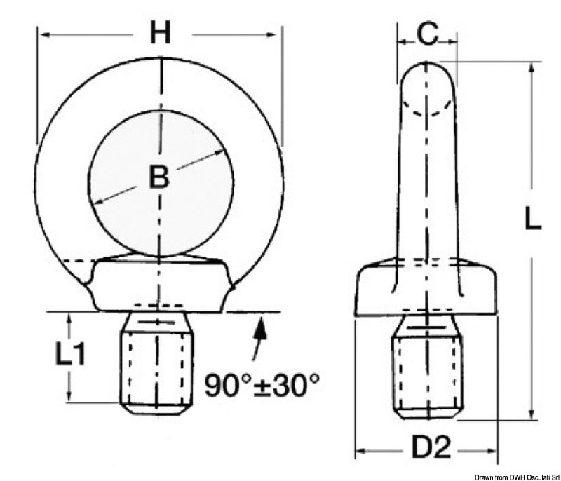 Male forged eyebolt AISI316 12 mm