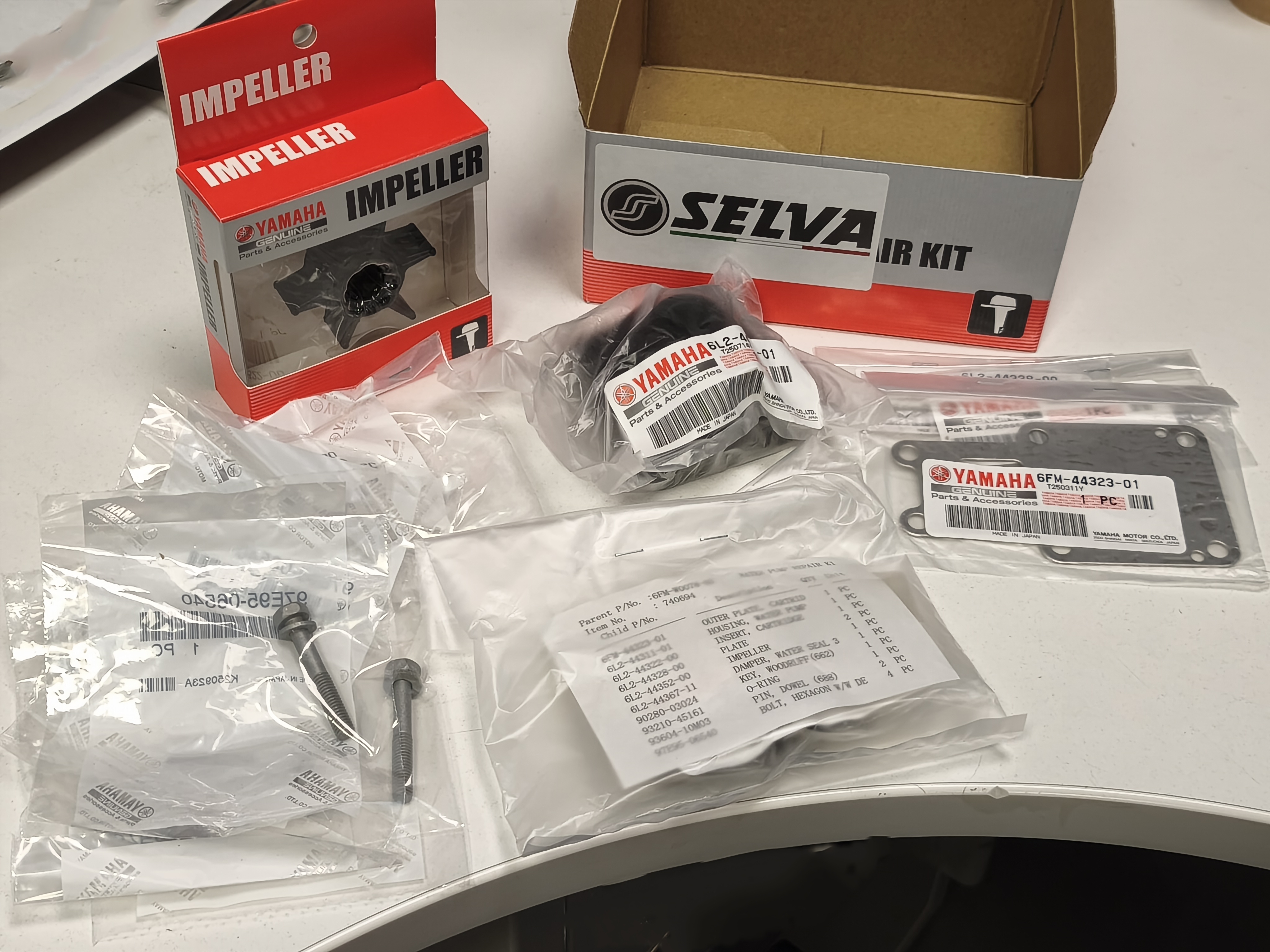 Water pump repair kit