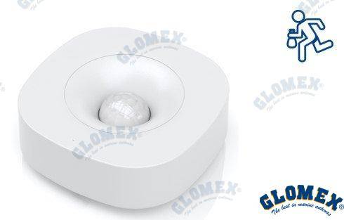 motion sensor