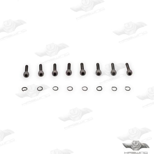 Motor Screws for Haswing