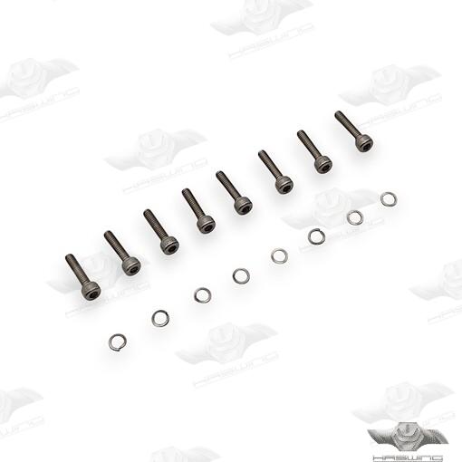 Motor Screws for Haswing