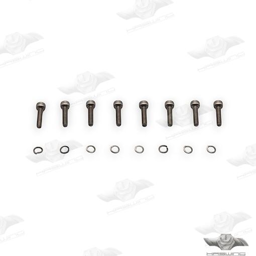 Motor Screws for Haswing