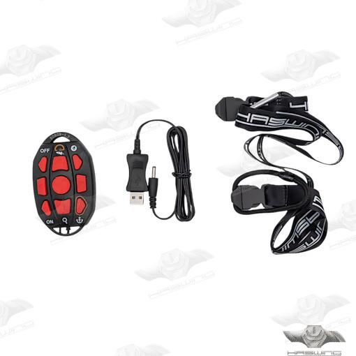Remote Controller For 50738(36V Gps) for Haswing
