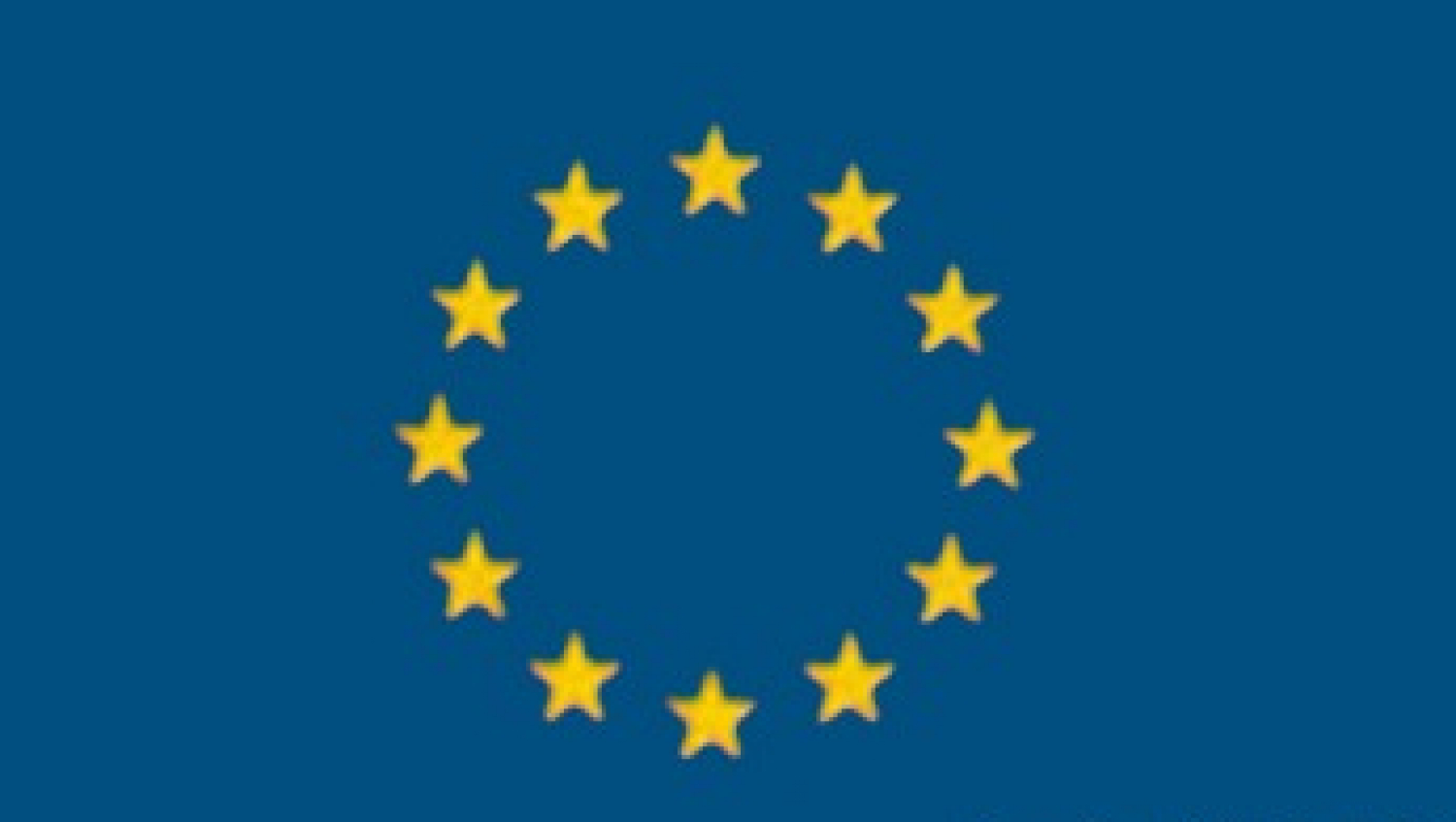 Flag EU 30x45cm