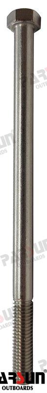 Bolt M10x120