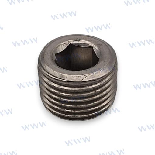 Plug for Parsun