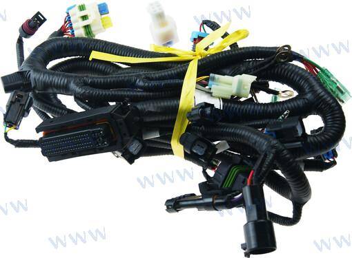 wiring harness, ecu control delfi, F60-05000900