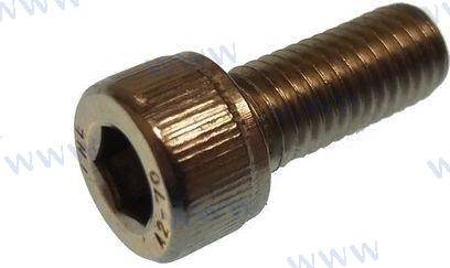 Parsun Screw M8X20