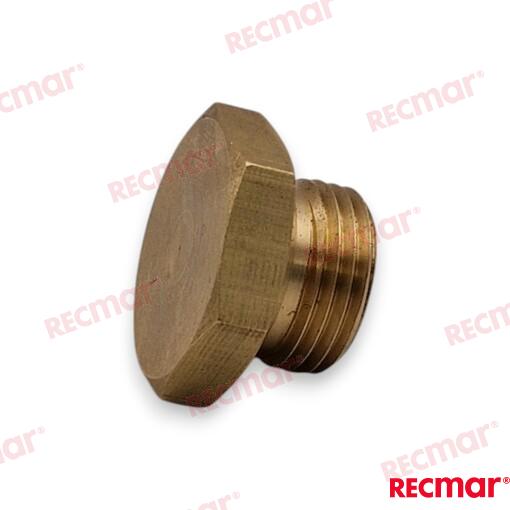 Anode Plug for Parsun