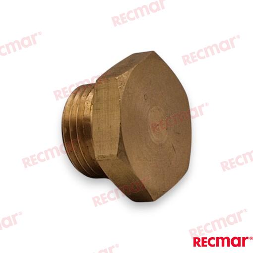Anode Plug for Parsun