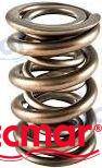 valve spring