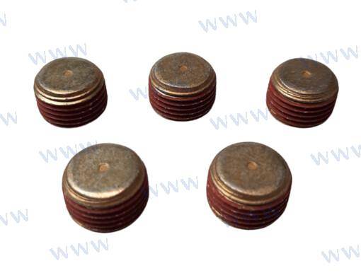 plug (5pcs)