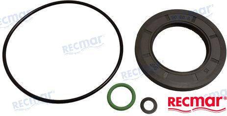 gasket set lower unit dph