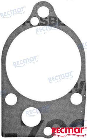 Water Pump Gasket (27-19551, 0508542)