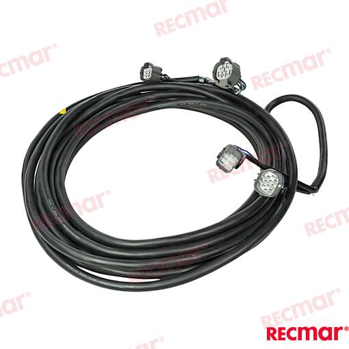 Trunk Cable Ist Models BF200D-BF250D 18
