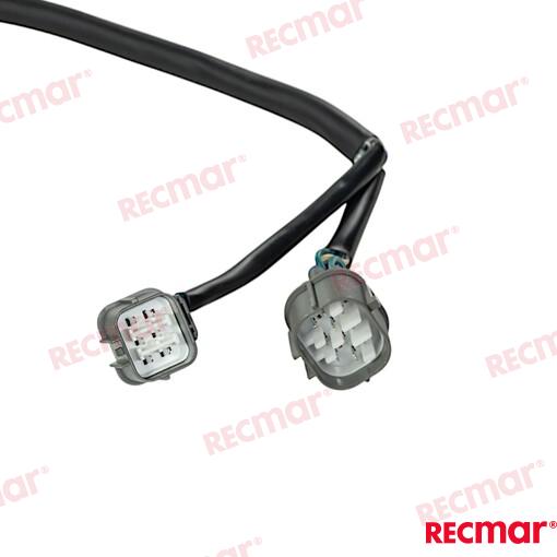 Trunk Cable Ist Models BF200D-BF250D 18