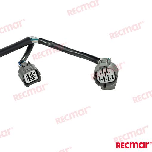 Trunk Cable Ist Models BF200D-BF250D 18