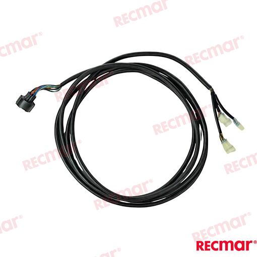 Main Wiring Harness