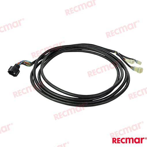 Main Wiring Harness