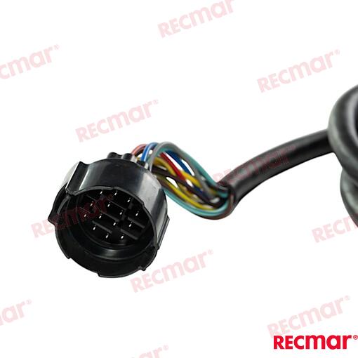 Main Wiring Harness