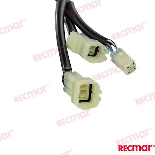 Main Wiring Harness
