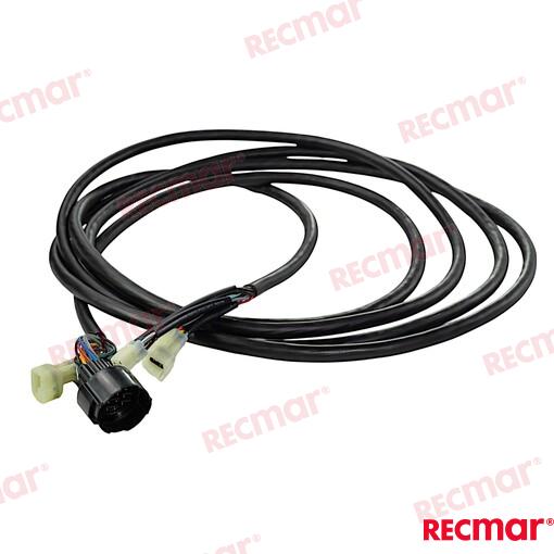 Main Wiring Harness