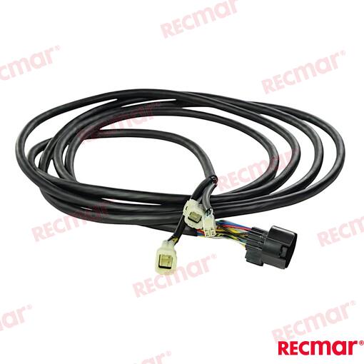 Main Wiring Harness