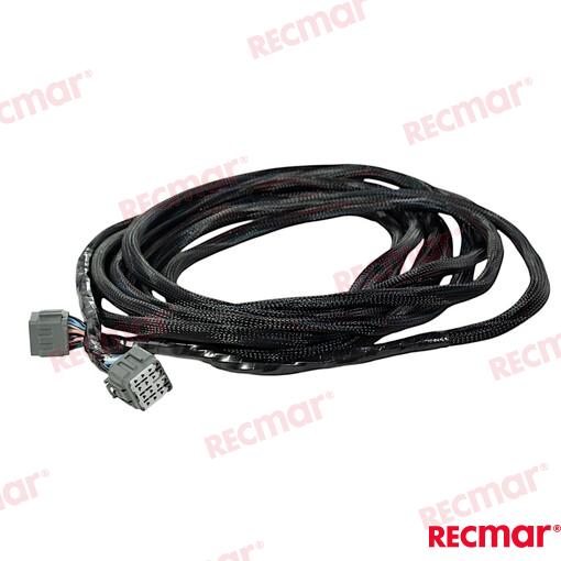 Extension Harness 21ft For DTSf Control
