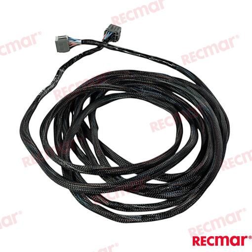 Extension Harness 21ft For DTSf Control