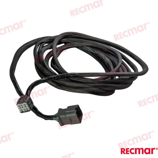 Wire Assy, Remote Control 20/21ft