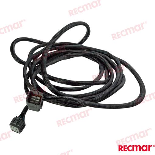 Wire Assy, Remote Control 20/21ft