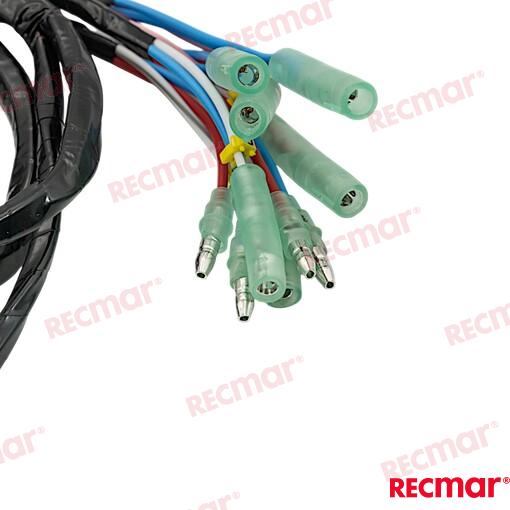 Wire Harnesss Top Dual