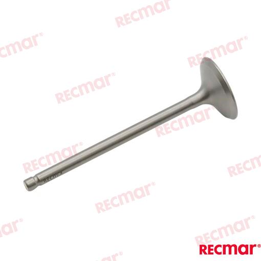 Exhaust Valve 30x5.5x95.5