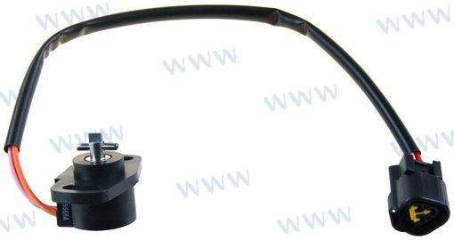 throttle body & throttle sensor