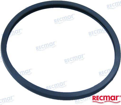 Double thermostat support gasket