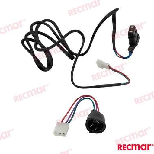Switch Harness