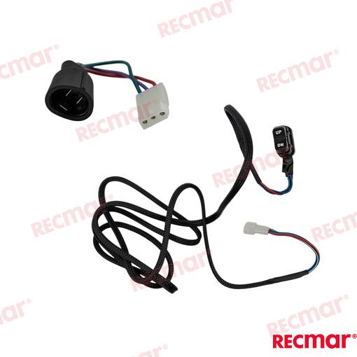Switch Harness