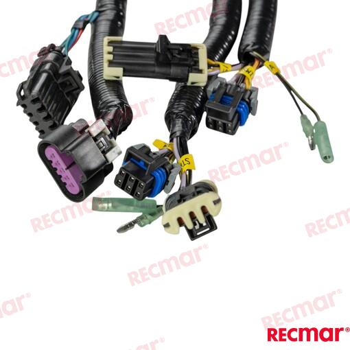 Engines Harness Assembly, Dual Command Module