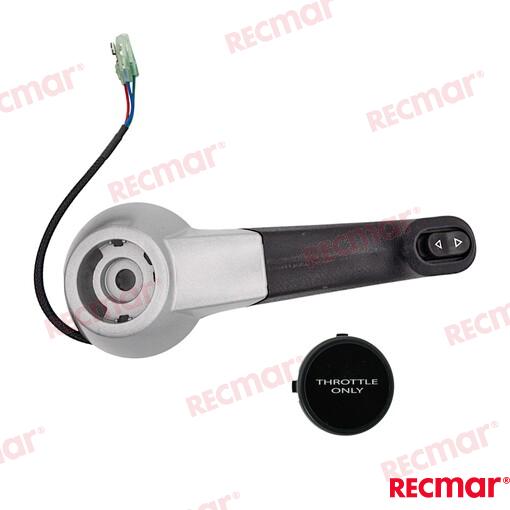 Handle Assembly With Trim