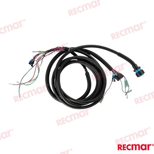 Tirm Harness 15ft (Molex)