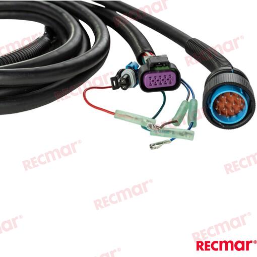 Tirm Harness 15ft (Molex)
