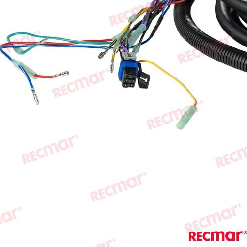 Tirm Harness 15ft (Molex)