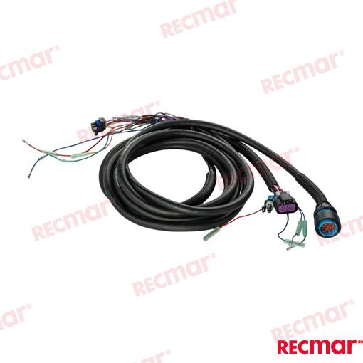 Tirm Harness 15ft (Molex)